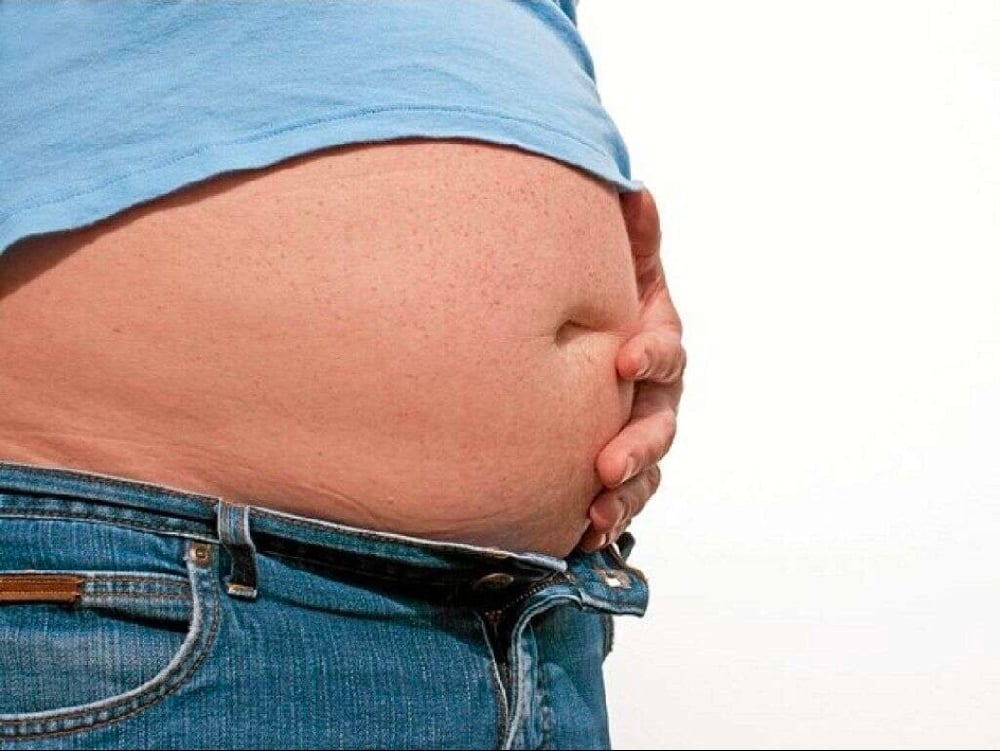 Healthy Gut! Prebiotic-Probiotic Powder. Menopause-Bones-Colitis-Gas-Bloating-Diabetes-Cravings