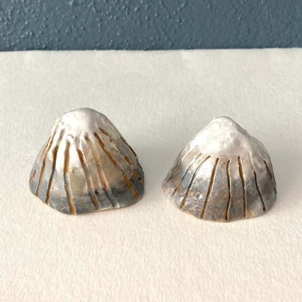 Image of Pottery limpet shells