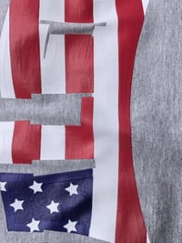 Image 3 of S4LEM COLLEGIATE USA T-SHIRT WHITE