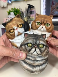Image 1 of Persian/Exotic Cat Magnet