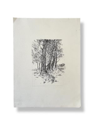 Image of VINTAGE DUTCH DRAWING: LANDSCAPE #8