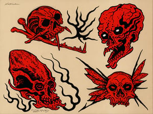 Image of Split Set of Skull Flash w/Nick Hall