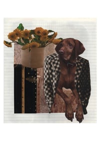 Image 2 of doggo collage print