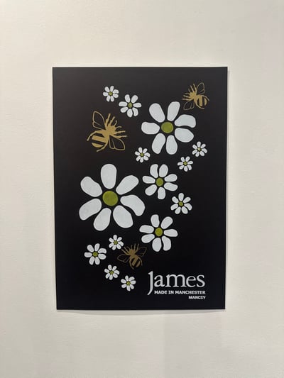 Image of A3 James Daisy Meadow