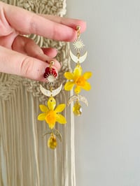 Image 3 of 🌼Daffodil Shaniquas🌼 Moon Phase