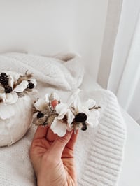 Image 7 of little star