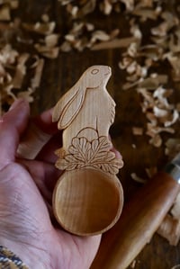 Image 5 of The Star Gazing Hare Scoop 