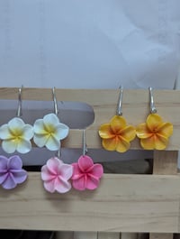 Image 5 of boucles d'oreilles fleurs de frangipanier tiaré 