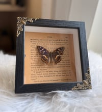 Image 3 of Quiet Wings