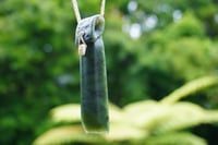 Image 2 of Toki o te wānanga #3