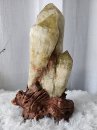 Image 1 of 8.1lb XL Citrine Crystal Cluster With Custom Wood Stand