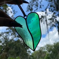 Image 2 of Philodendron Leaves