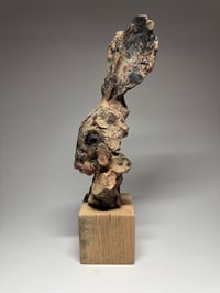 Image 4 of “Leroy”