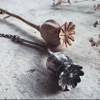 Image 5 of Poppy Tears