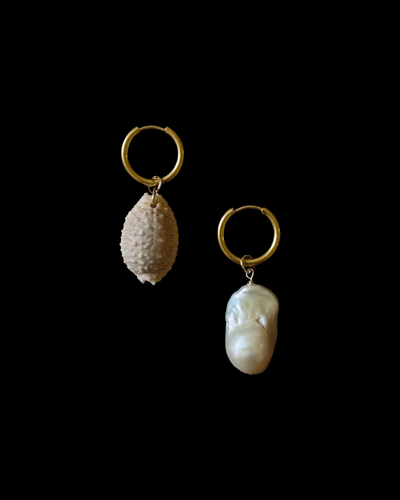 Image of Granulated cowry earrings 