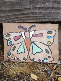 Image 1 of Moth 