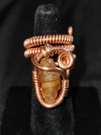 Adjustable Fossil Shell Carnelian Ring #2, Western Sahara, Morocco