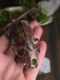 Image 7 of Mink Skull with Moonstone