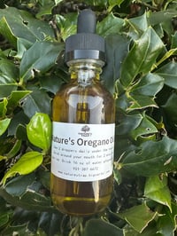 Oregano Oil 