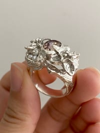 Image 3 of Sunset Reverie