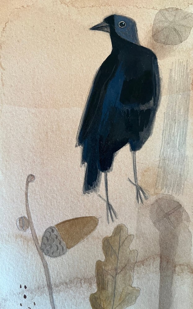 Image of Jackdaw and oak 