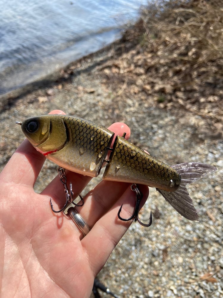 Custom order  - Image 4