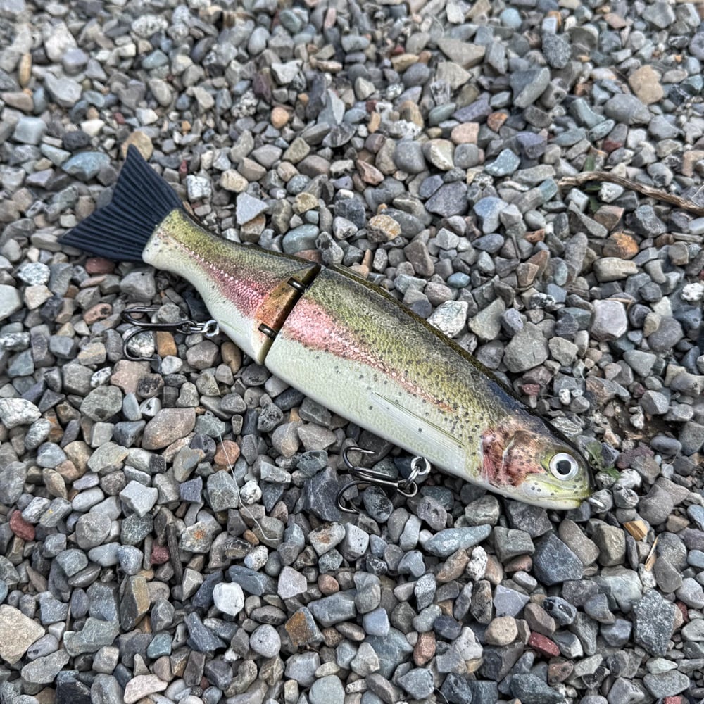 Image of 10 inch slowsink trout