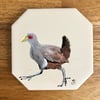 Tasmanian Nativehen Coaster