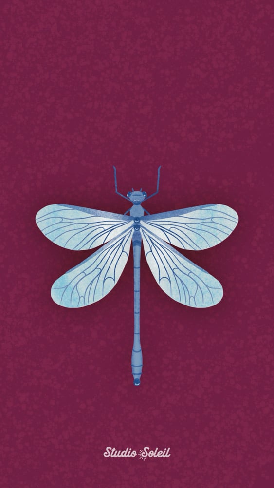 Image of Dragonfly 4x6 Print