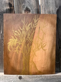 Image 1 of B-cone on wood 