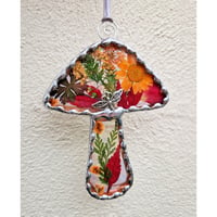 Image 1 of Small Real Flower Toadstool 