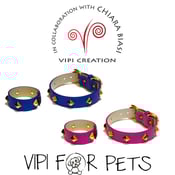 Image of Vipi For Pets & For You