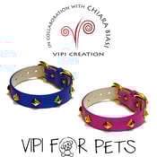 Image of VIPI for Pets Collare