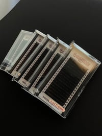 NEW 0.03 CASHMERE MINK DESIGN TRAYS 