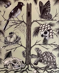Appalachia tree print 