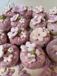 Image 6 of Petal the spring time pumpkin 