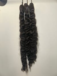 Image 4 of Raw Burmese Curly 