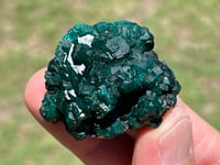 Image 11 of Dioptase Specimen #2539
