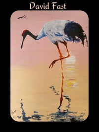 RED CRESTED CRANE