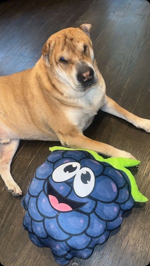 Berry Pillow 