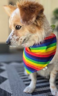 Image 2 of Pride Bandana
