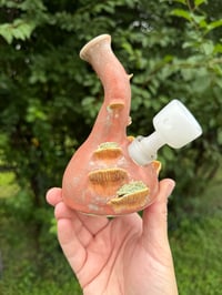 Image 5 of Matte Mushroom 