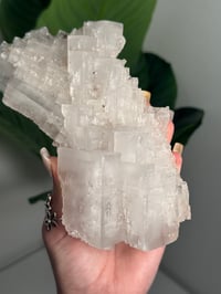Image 3 of XL WHITE HALITE -MOROCCO- H
