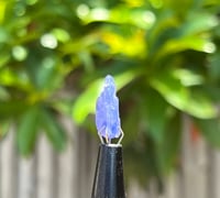 Image 10 of Tanzanite Specimen #2431