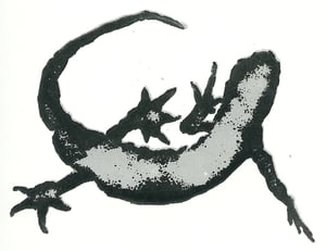 Image of Newt