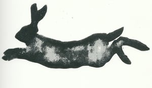 Image of Hare