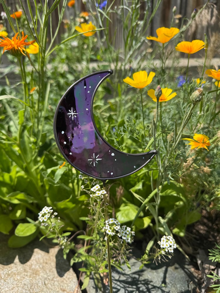 Image of Mini Moon Workshop
