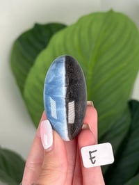 Image 5 of BLUE OPAL SHIVAS