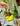 Magic Potion Bottle