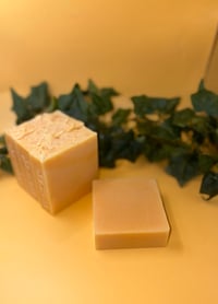 Image 1 of Fresh Start